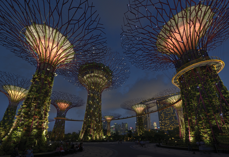 Gardens by The Bay, Marina South