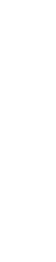crono cultura ok